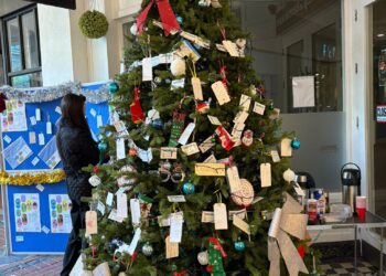 Foster families from across Carlow & Kilkenny unveil messages of hope and launch a special Christmas tree