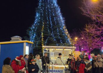 Christmas Remembrance Tree officially launched in Carlow