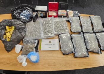 Drugs and cash seized during Carlow raid