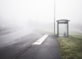 Carlow Councillor Ben Ward calls for completion of bus stop enhancement programme