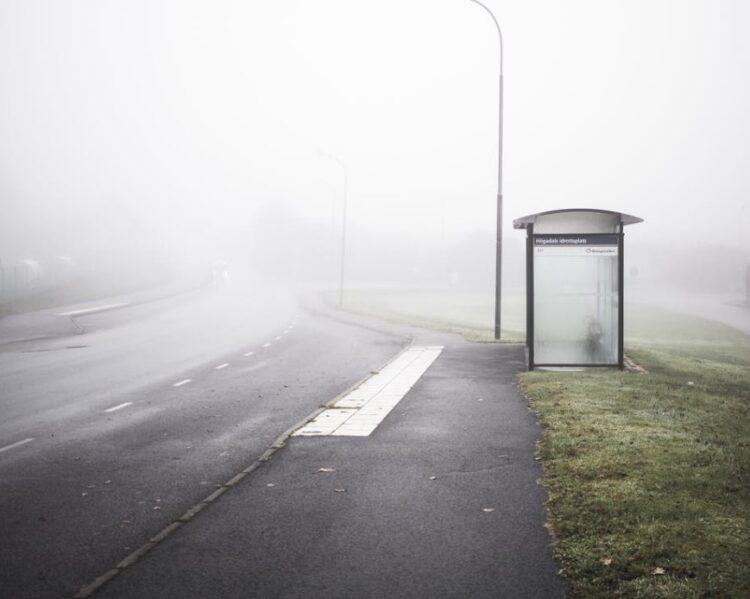 Carlow Councillor Ben Ward calls for completion of bus stop enhancement programme