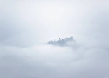 Dense fog hits pockets of Carlow and Kilkenny