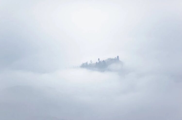 Dense fog hits pockets of Carlow and Kilkenny
