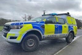 Emergency services dealing with crash in County Carlow
