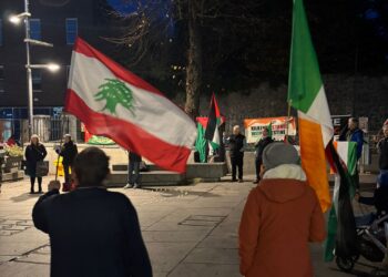 Kilkenny Community Palestine Solidarity Group calls for delivery of Occupied Territories Bill with two key events this weekend