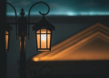 Carlow Mayor says town park ‘too dark … too dangerous’
