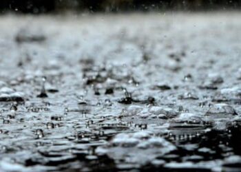 Lowest monthly total for rain in November was recorded in Carlow