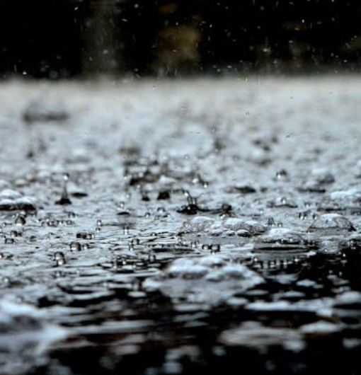 Lowest monthly total for rain in November was recorded in Carlow