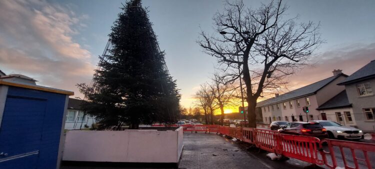 Carlow Rotary Club to officially launch Christmas Remembrance Tree