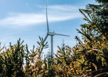 “We don’t want our community divided by this” says south Kilkenny resident of planned wind farm