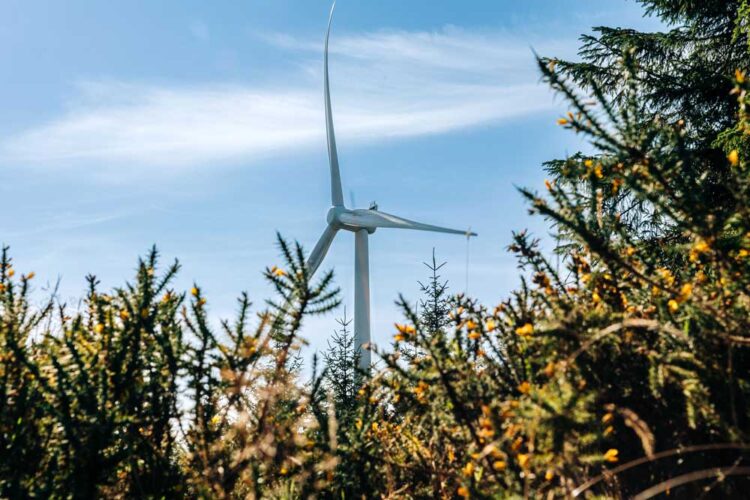 “We don’t want our community divided by this” says south Kilkenny resident of planned wind farm