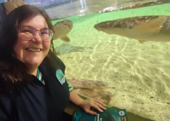 Pupils in Carlow and Kilkenny offered opportunity to become ocean ambassadors