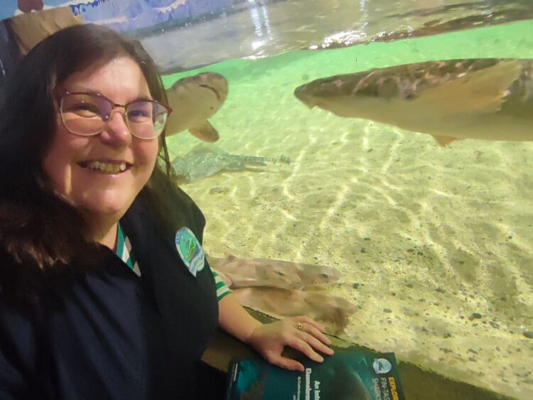 Pupils in Carlow and Kilkenny offered opportunity to become ocean ambassadors