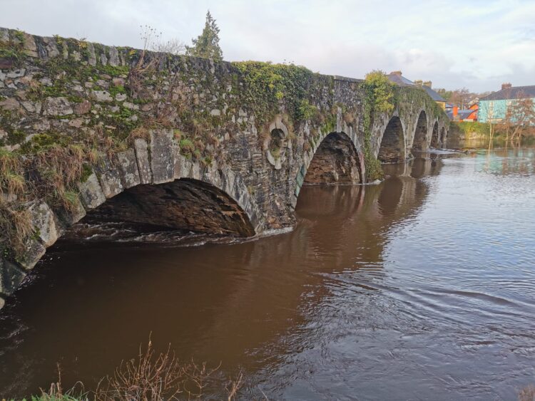 Clean up underway as homes and businesses in pockets of Kilkenny and Carlow left under water