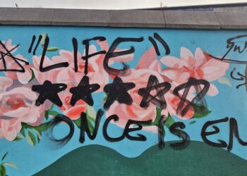 Carlow Mayor Paul Doogue ‘disgusted’ by defacing of town mural