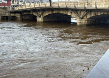 Community response to Storm Chandra across Carlow and Kilkenny deemed hugely positive