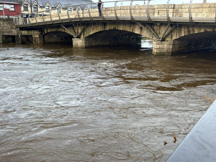 Community response to Storm Chandra across Carlow and Kilkenny deemed hugely positive