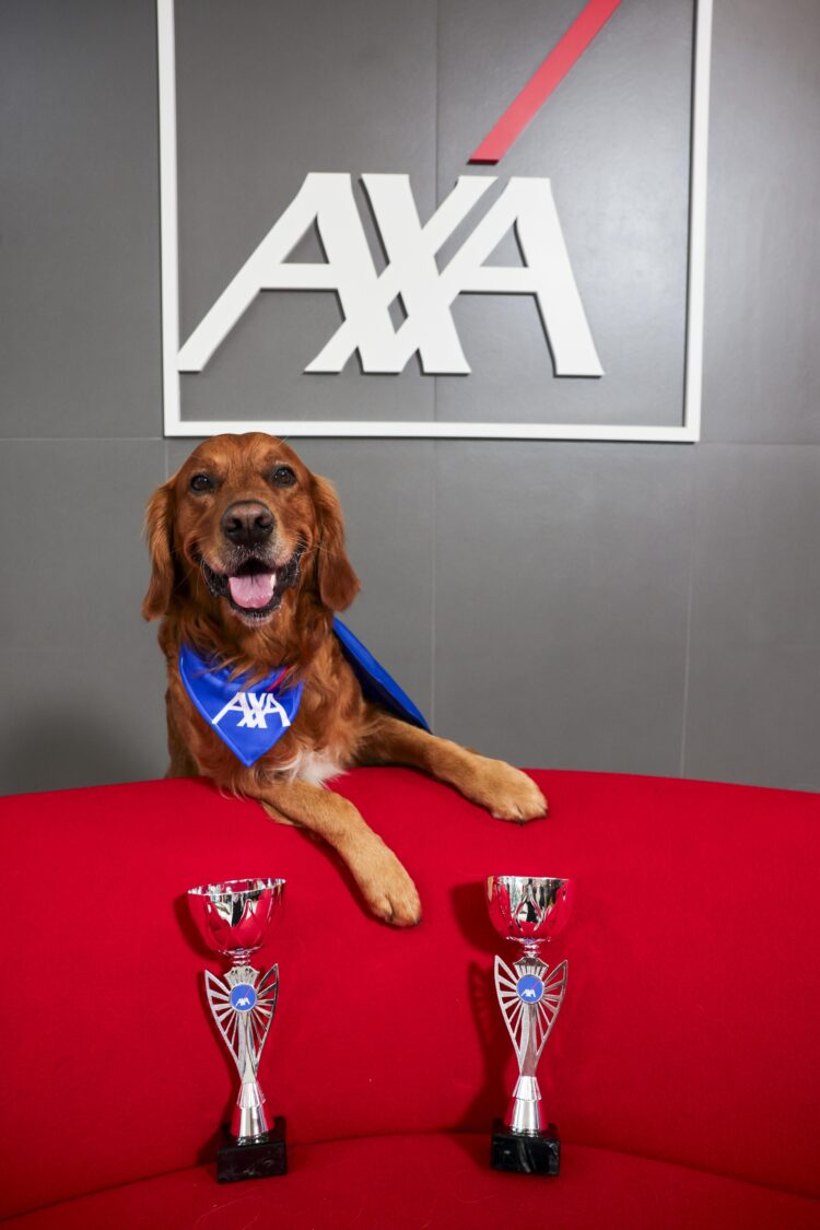 Clock ticking towards nomination deadline for AXA Community Heroes in Carlow and Kilkenny