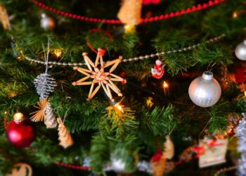 As Christmas trees come down you’re encouraged to recycle them