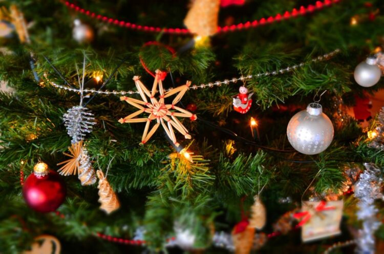 As Christmas trees come down you’re encouraged to recycle them