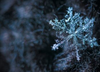 Carlow and Kilkenny could be impacted by weather warning for neighbouring counties