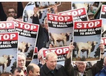 Key voices from Carlow and Kilkenny outline concerns re Mercosur trade deal ahead of Friday’s crucial EU vote