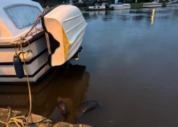 Clean up underway as homes and businesses in pockets of Kilkenny and Carlow left under water