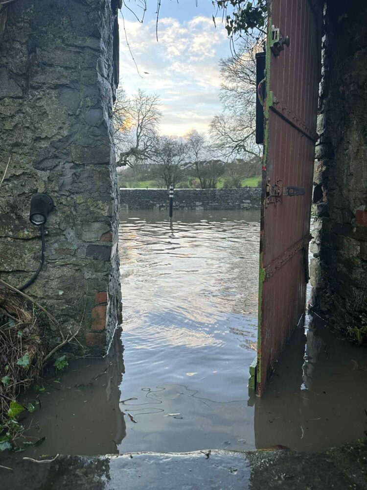 Rivers rising across Carlow and Kilkenny as the rain continues to fall