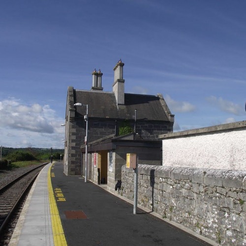 Gardaí advise those in Carlow and Kilkenny using public transport to keep sight of their baggage