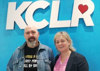 Brain injury – the ‘hidden illness’ underlined to Carlow Councillors
