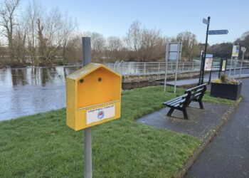 Bagenalstown Swimming Club Issues Warning After Ring Buoy Was Removed From The Boat Slip