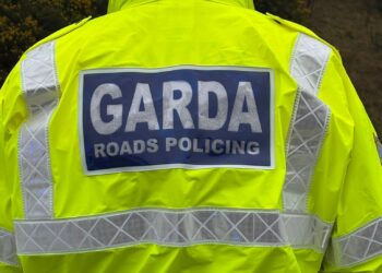 Pedestrian dies after being struck by a truck in Co Tipperary