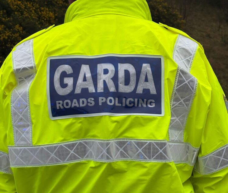 Pedestrian dies after being struck by a truck in Co Tipperary