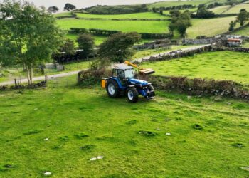 Carlow Councillor Fergal Browne ‘mystified’ at sight of uncut hedges ahead of deadline