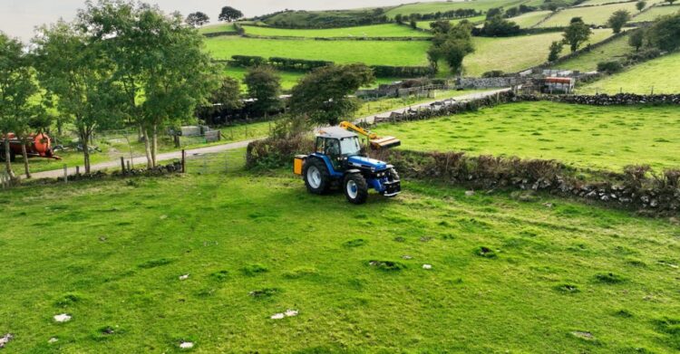 Carlow Councillor Fergal Browne ‘mystified’ at sight of uncut hedges ahead of deadline