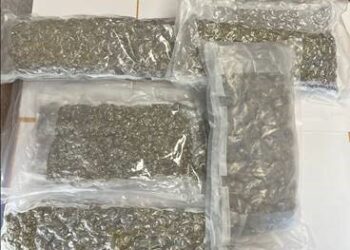 Two people arrested following drugs seizures in County Wicklow