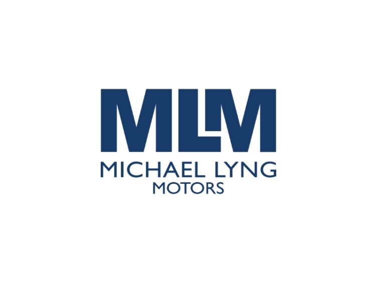 Qualified Motor Technician at Michael Lyng Motors