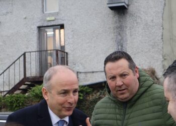 Carlow-Kilkenny TD takes on new rural affairs role