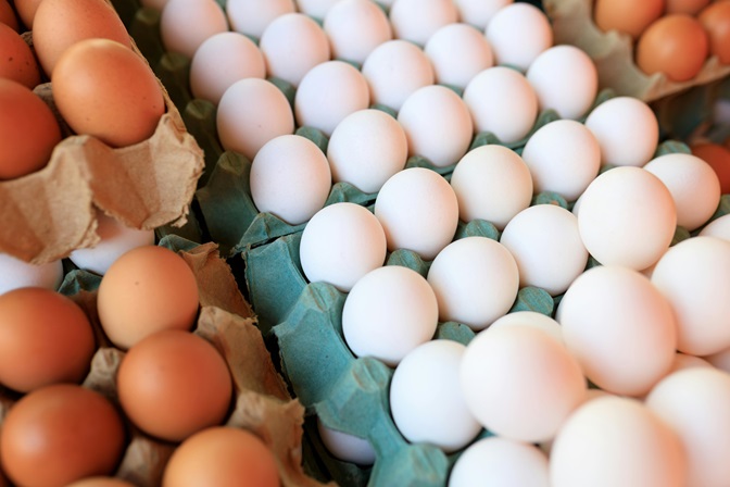 Carlow farmer warns egg shortages could worsen without investment