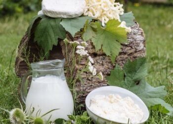 Farmers in Carlow and Kilkenny seek greater transparency regarding pricing of milk & dairy products