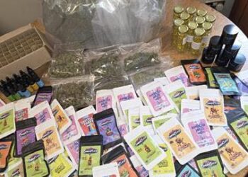 €200,000+ worth of suspected drugs discovered in South East