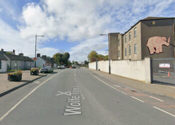 Phone, travel documents and bank cards taken from car parked in Kilkenny city