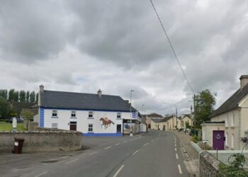 Gardaí seek help in tracking down those responsible for ‘very unusual crime’ in county Kilkenny