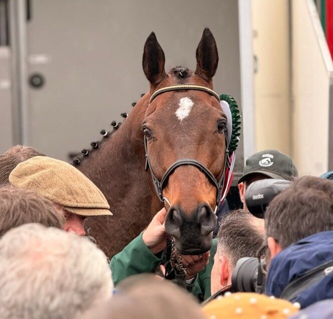 Huge turnout again in county Carlow for homecoming of Aintree and Irish Grand National winners