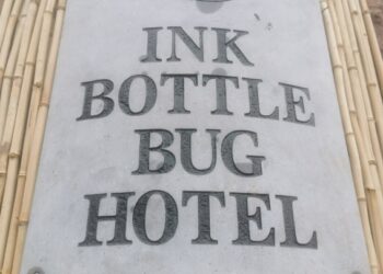Ink Bottle Bug Hotel standing tall in South Kilkenny