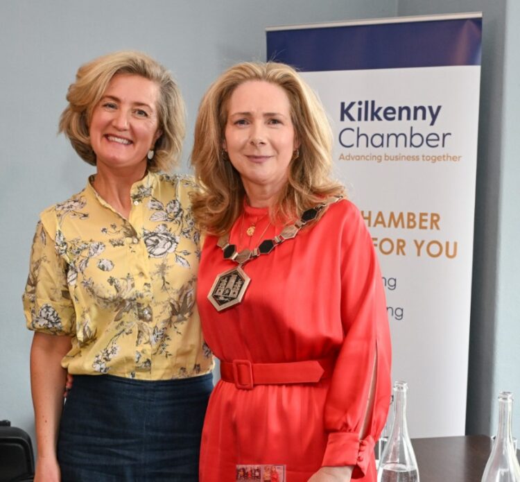 Kilkenny Chamber marks ‘year of growth and advocacy’