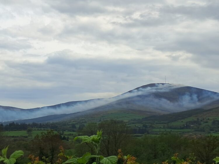 “I thought my house was on fire” says county Carlow resident as Mount Leinster smoulders