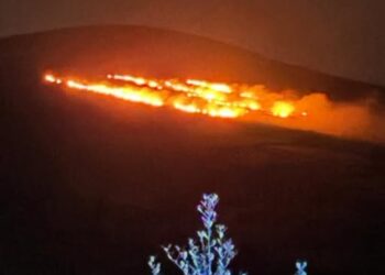 County Carlow crew attends wildfire on Mount Leinster