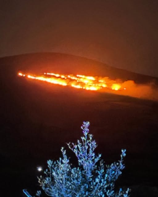 County Carlow crew attends wildfire on Mount Leinster