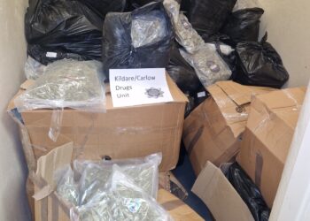 Gardaí from Kildare/Carlow Division seize €7million worth of drugs